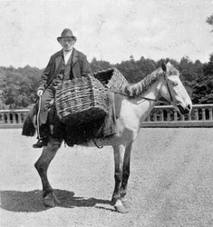 Irlantilainen mies hevosensa selässä (1800-luku).