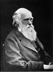 Valokuva muotokuva Charles Darwinista (1809 - 1882), englantilaisesta luonnontieteilijästä. 1881