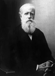 Brasilian keisarin Dom Pedro de Alcantaran (Pietari II) (1825-1891) muotokuva.
