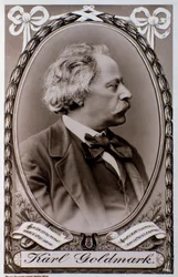 Karoly Goldmarkin (tai Karlin) (1830-1915) muotokuva unkarilaisesta säveltäjästä Valokuva. 1800-luvulla. Bologna, civico Museo Museo