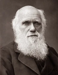 Englantilainen luonnontieteilijä Charles Robert Darwin (1809-1882)