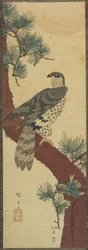 (Hawk on Pine Branch, Summer), syyskuu 1853
