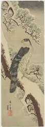 (Hawk on Pine Branch, Winter), 1800-luvun alku