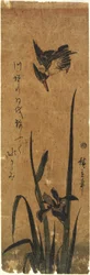 (Iris ja Kingfisher), 1830-1858