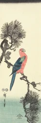 (Papukaija männyllä), 1847-1852