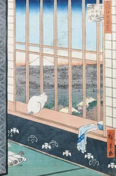 Asakusa Rice Fields kukon festivaalin aikana sarjasta 