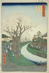 Bosso MS sound te tamari ver kuvaversio k pinta t (Tamagawa Tsutsumi no Hana), sarjasta "Ridge d re d fa net view ws f Edo (One Hundred Famous Views of Edo) )"