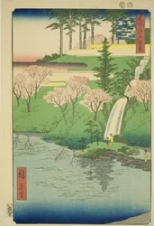 Chiyogaike lampi, Meguro (Meguro Chiyogaike), sarjasta "yksi rahoitettu meisho edo hyakkei isä"