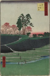 Gotenyaman puutarha, Shinagawa, Appli 1856
