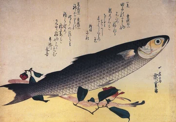 Hiroshige Harmaa muletti ja kamelia