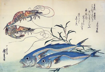 Hiroshige Hevosmakrilli ja katkarapuja