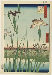Iris Garden at Horikiri, May 1857