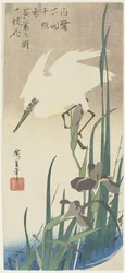 Irises ja Heron, 1832-1834