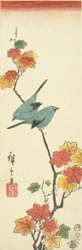 Japanilaiset valkosilmät vaahteran oksalla, 1854