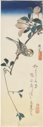 Java Sparrow ja Magnolia, 1834-1839