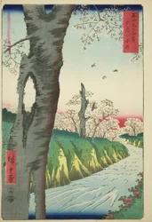 Koganei Musashin maakunnassa (Musashi Koganei), sarjasta "Kolmekymmentäkuusi näkymää Fuji-vuorelle (Fuji sanjurokkei)"