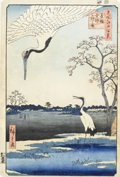 Minowa, Kanasugi ja Mikawan saari