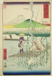 Sagami-joki (Sagamigawa), sarjasta "Kolmekymmentäkuusi näkymää Fuji-vuorelle (Fuji sanjurokkei)"
