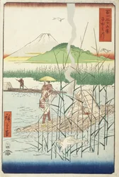 Sagami-joki