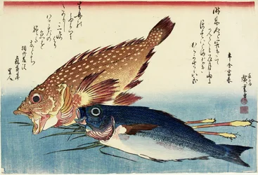 Scorpionfish, Chicken Grunt ja Inkivääriversot, c. 1832