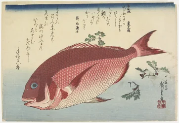 Merilahna ja Sansho_Sprigs, n. 1832
