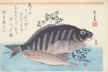 Shimadai ja Ainame, sarjasta "The Large Fish", Utagawa School, c. 1840-42 (puupalikkakäsinvärinen painatus paperille)