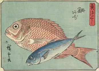 Snapper ja piikkimakrilli, 1830-1844