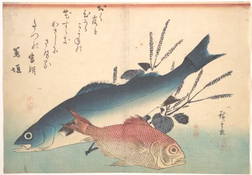 Suzuki- ja kinmedai-kaloja sarjasta Uozukushi (Kaikenlaisia kaloja)