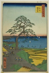 Hakkeizakan panssarimänty (Hakkeizaka Yoroikakematsu), sarjasta "Sata kuuluisaa näkymää Edosta (Meisho Edo hyakkei)".