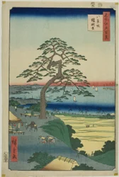 Hakkeizakan panssarimänty (Hakkeizaka Yoroikakematsu), sarjasta "Sata kuuluisaa näkymää Edosta (Meisho Edo hyakkei)".