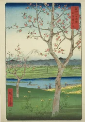 Koshigayan esikaupunki Musashin maakunnassa (Musashi Koshigaya zai), sarjasta "Kolmekymmentäkuusi näkymää Fuji-vuorelle (Fuji sanjurokkei)"