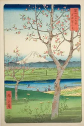 Koshigayan esikaupunki Musashin maakunnassa (Musashi Koshigaya zai), sarjasta "Kolmekymmentäkuusi näkymää Fuji-vuorelle (Fuji sanjurokkei)"