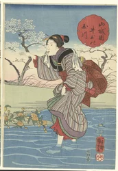 Dede Tamarilier Inde Provincial Yamashiro Yamashiron maa Tamagawa