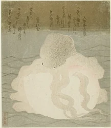 Mustekala ja kuori