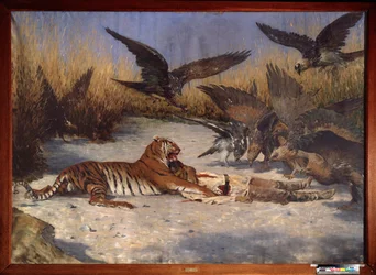 Ihmissyöjä - Vasili Vasilyevich Vereshchagin (Vassili Vereshchagin) (1842-1904) maalaus, öljy kankaalle, noin 1870-1880, venäläinen taide 1800-luku - Alueellinen W Wereshchaginin taidemuseo, Mykolaiv (Ukraina)