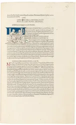 Plinius vanhemman "Historia Naturalis".