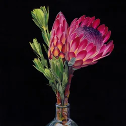 Pink Protea -maljakot