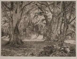 Metsän sisätilat