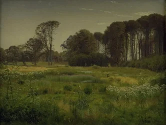 Kesäinen maisema. Horneland lähellä Fåborgia