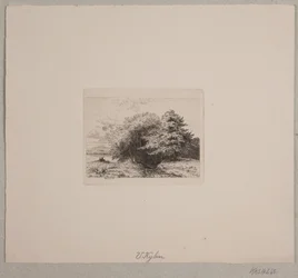 Metsän reuna