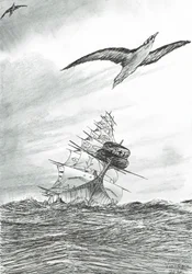 Storm Creators Mindanao Sea, 2020
