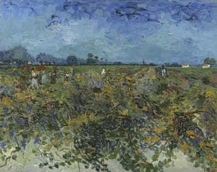 Vihreä viinitarha, 1888.