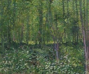 Puut ja aluskasvillisuus. 1887