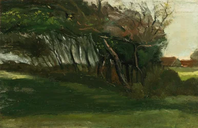 Maisema tuulen pyytämien puiden kanssa, n. 1883-84 (öljy kankaalle)