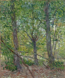 Puita