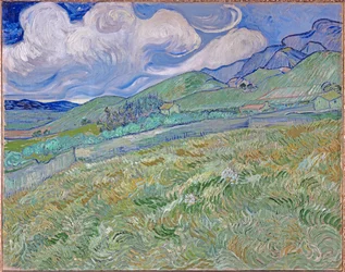 Vehnäpelto ja vuoret
