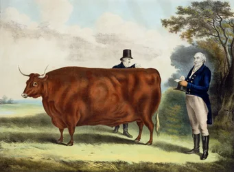 Muotokuva herra T.W. Coke Esq. ja Clerk Hilliard Esq. North Devon Oxin kanssa (värikaiverrus)