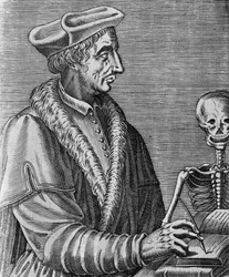 Jean Francois Fernelin (1497-1558), ranskalaisen lääkärin, tähtitieteilijän ja matemaatikon muotokuva, Nicolas II de Larmessinin (noin 1638-1694) kaiverrus