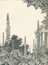 Kuvitus Kesäyön unelmaan, 1914, 1925.
