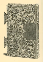 Hopeakullattu kirjan kansi, 1881.